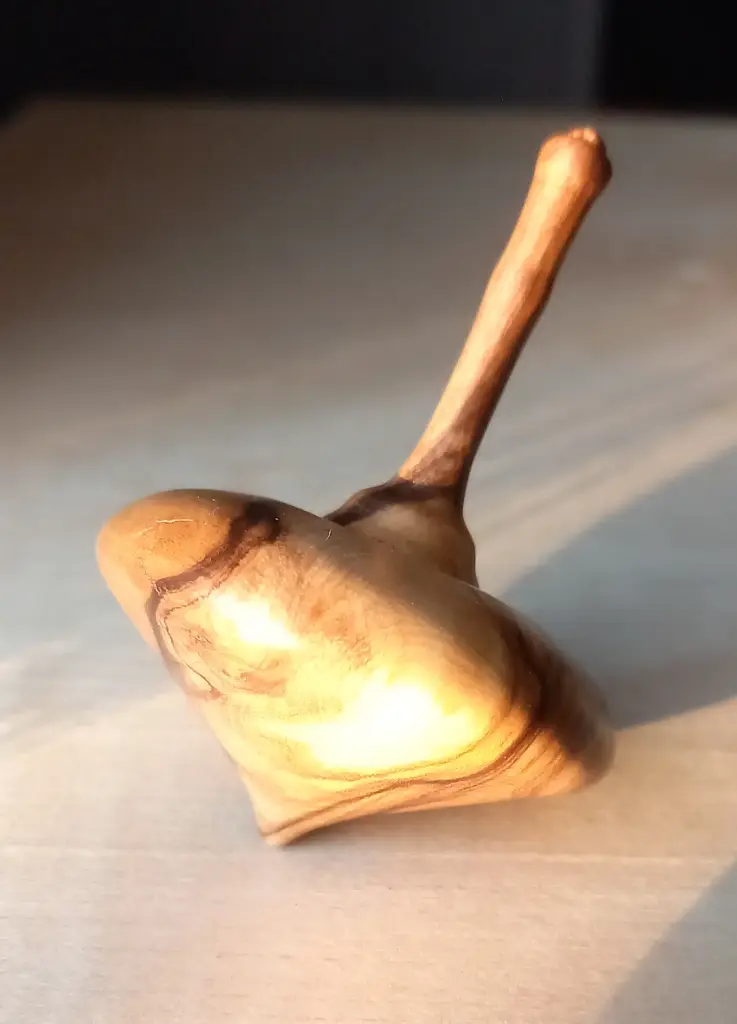 Toupie olivier    T3