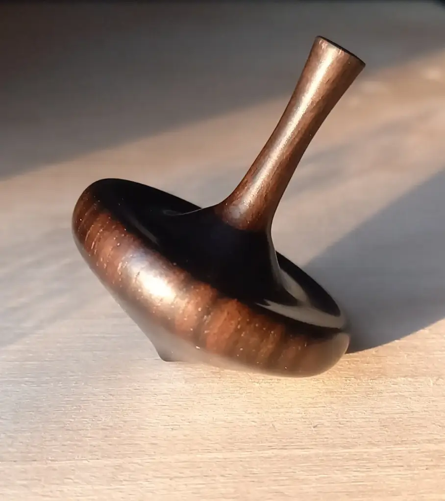 Toupie ébène de Macassar    T7