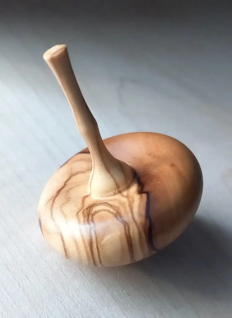 Toupie olivier     T8