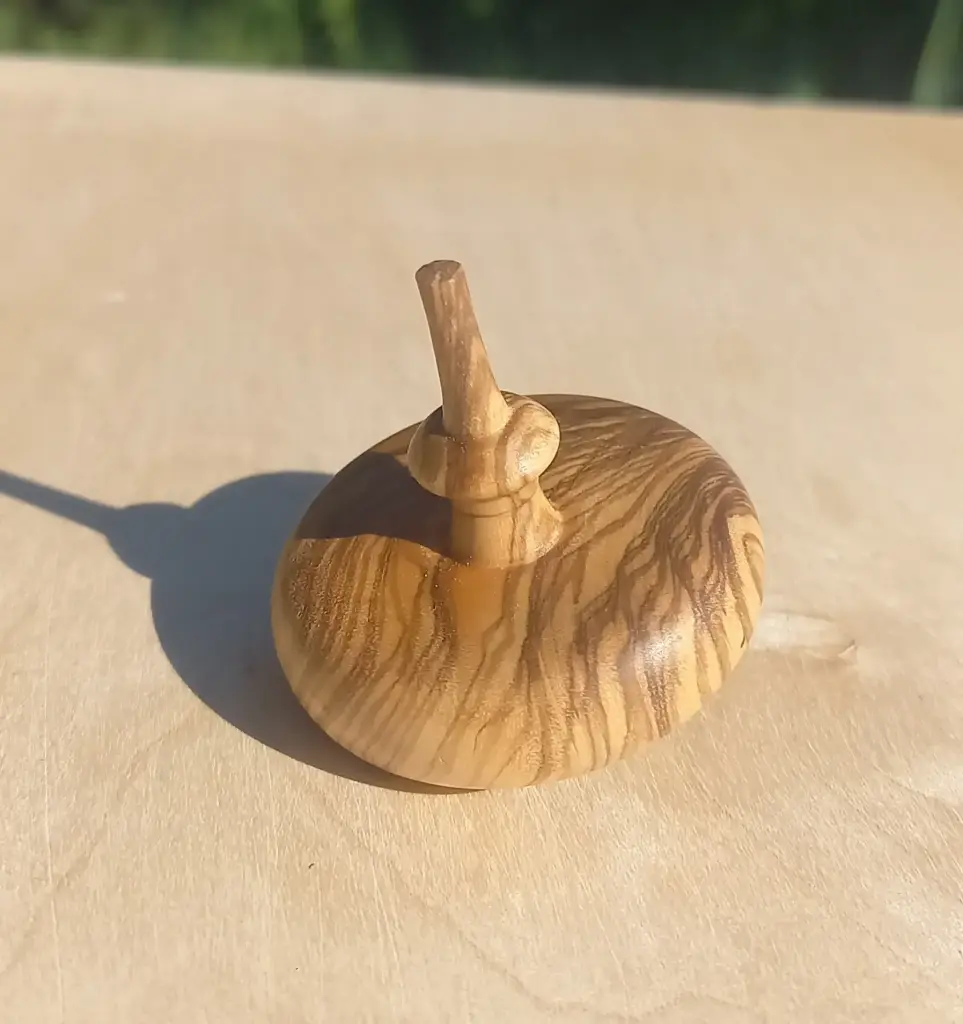 Toupie Olivier    T13