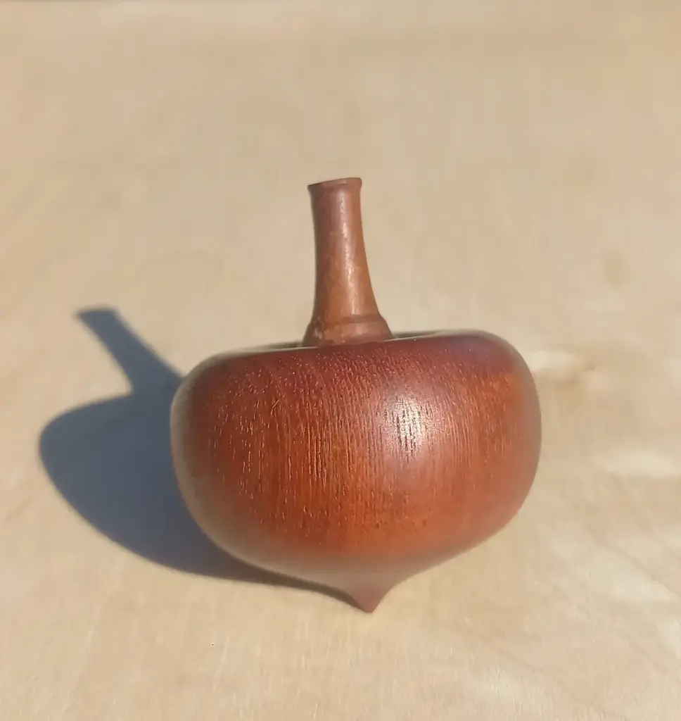 Toupie Bois de Campêche T14