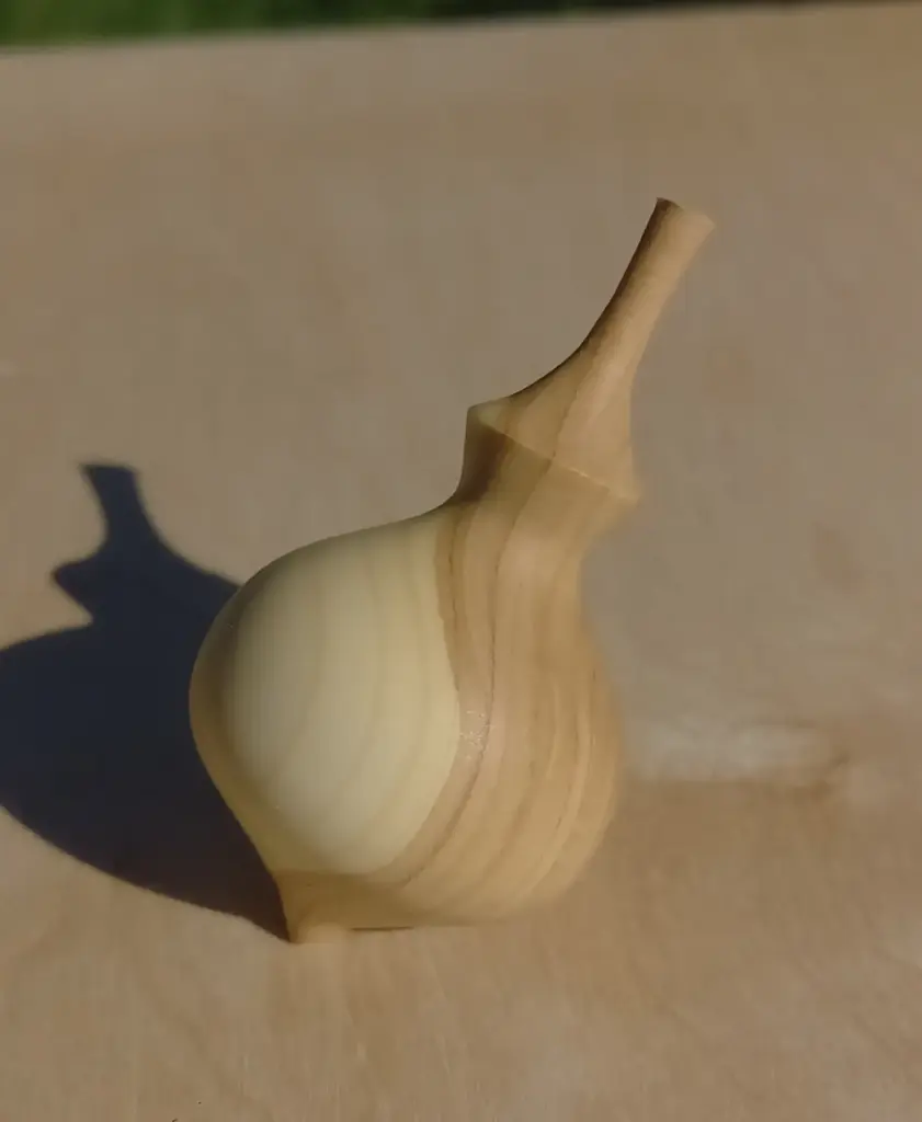 Toupie Bois de Lilas T15