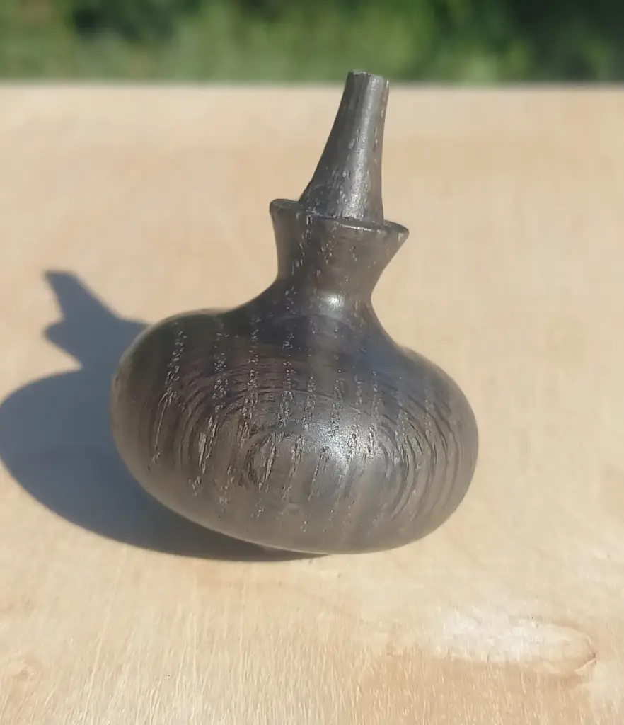 Toupie Chêne des marrais datation carbone 14 année 650 T18